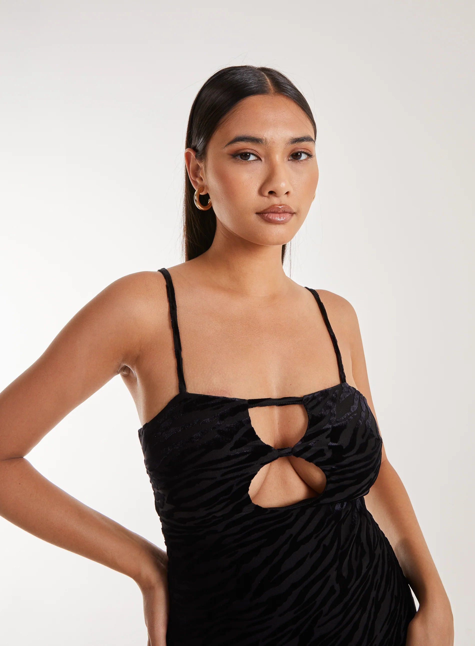 Zebra Velvet Mini Dress