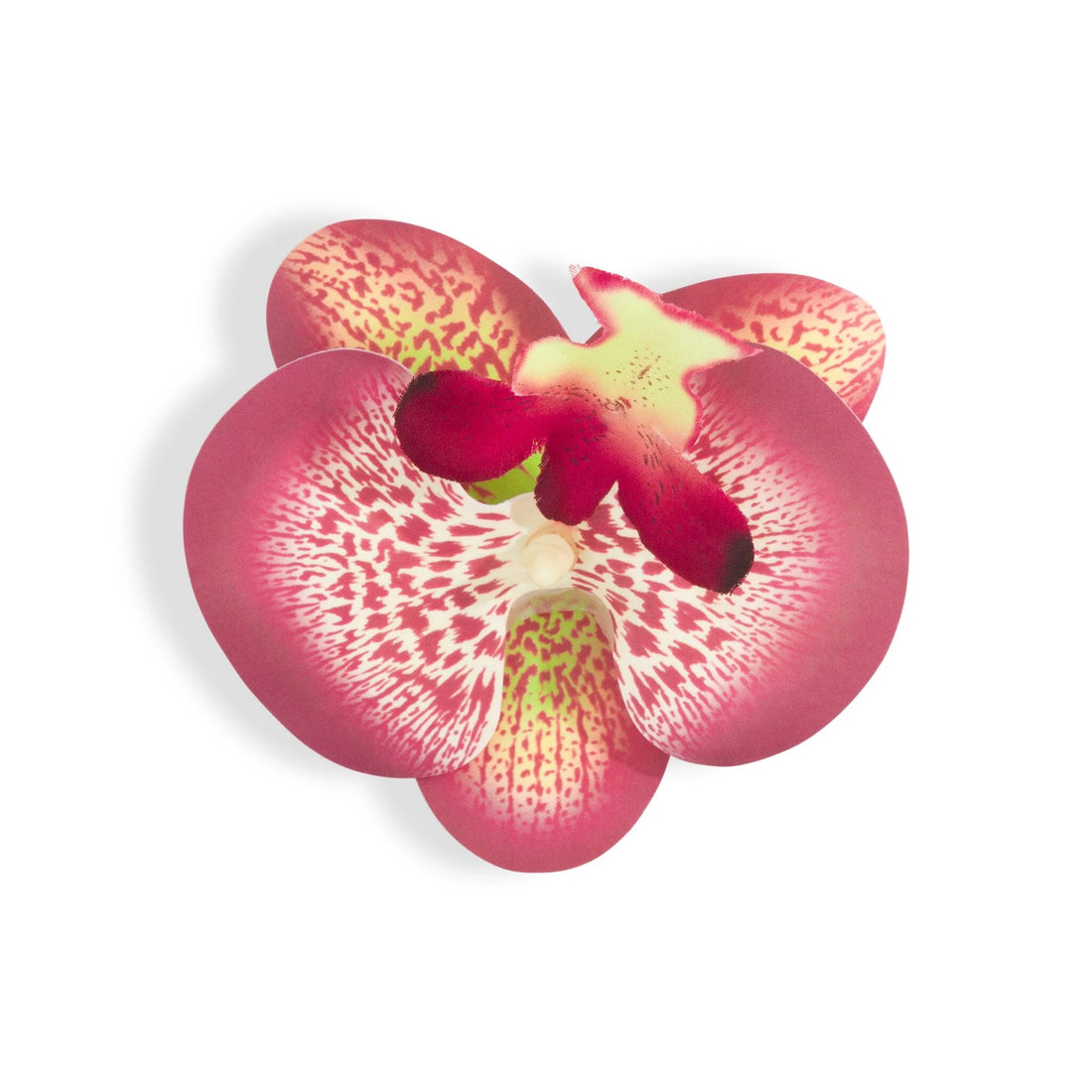 ORCHID FLOWER BURGUNDY