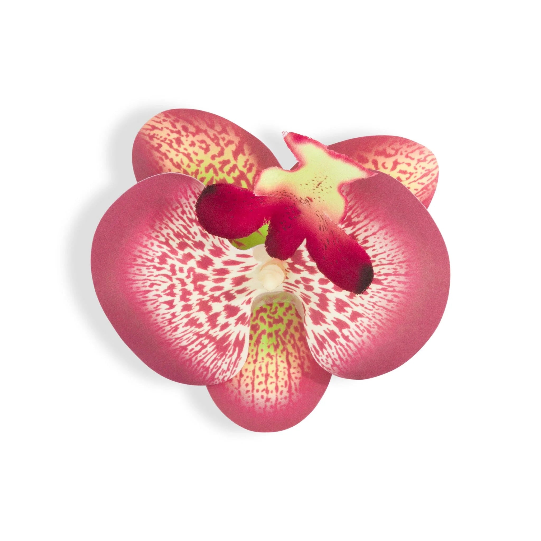 ORCHID FLOWER BURGUNDY