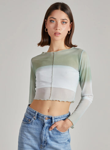 Ombre Exposed Long Sleeve Mesh Crop Top