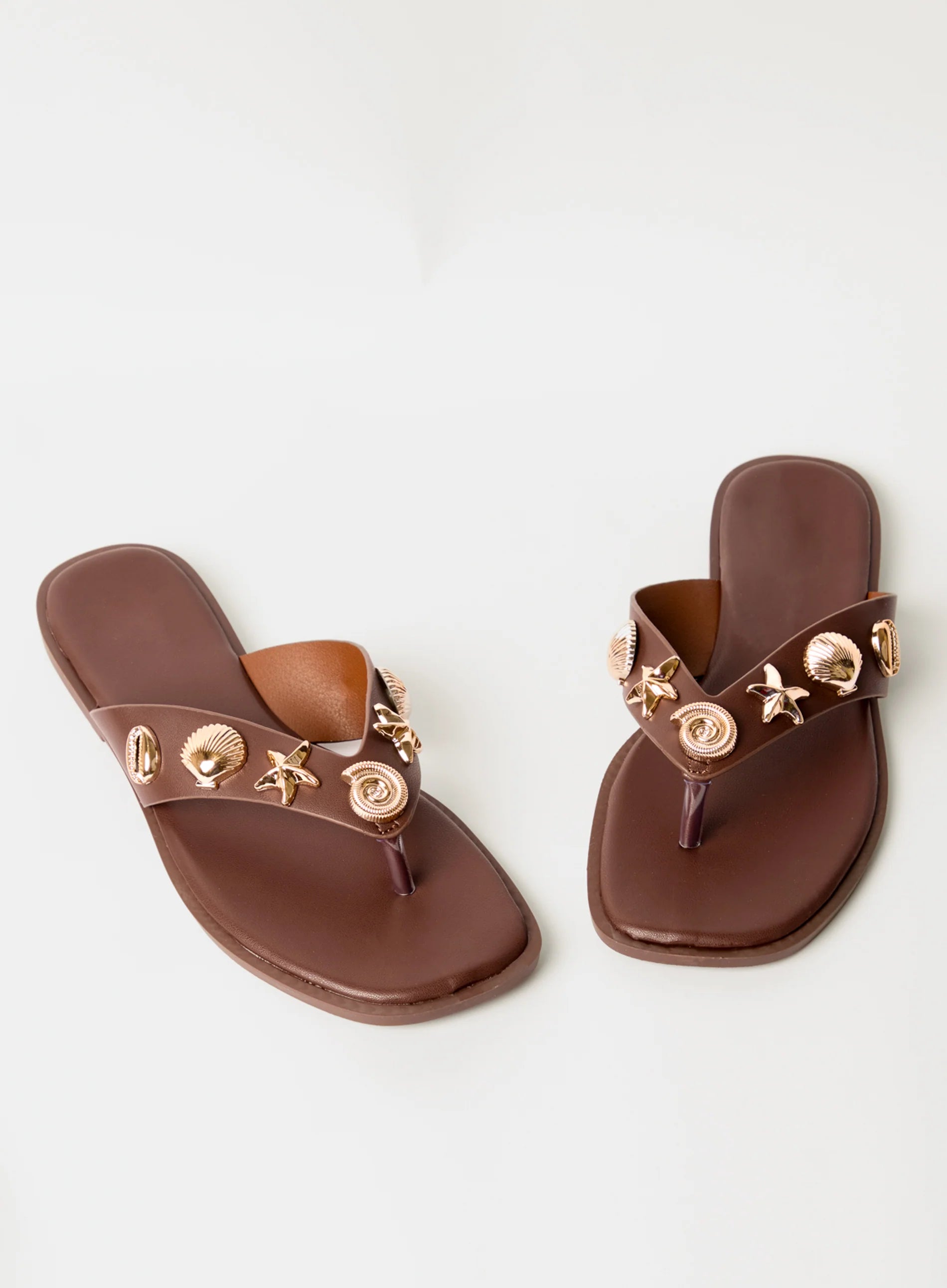 Seashell Embellished Flip Flops
